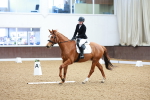 SBM_001213