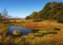 Rocher Bog (03)