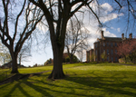 Bull Meadow, Exeter