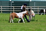 SBM_03409