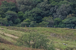 Arnison Crag-25