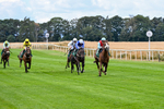 Race 1 13.38pm John & Paula 25th Wedding Anniversary EBF Novice Stakes portfolio