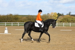 SBM_001081