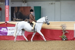 SBM_02985