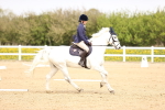 SBM_007477