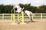 SBM_006900