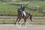 BPP_7041