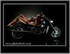 Motorbike In Studio