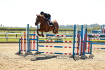 SBM_002044