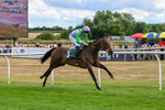 040826-Race 5-Halimede-5460