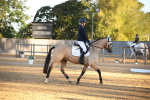 SBM_14535