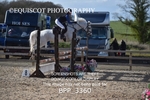 BPP_3360