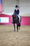Class I - Ridden Pony Champ portfolio
