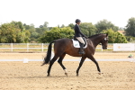 SBM_005259