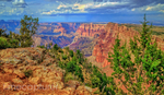 Canyon Showers