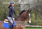 BPP_6113