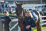251025-Race 6-Welcom To Cartries-9735