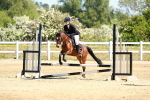 SBM_007052