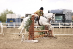 SBM_05611