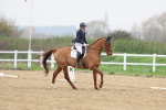 SBM_006705