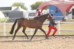 SBM_06854