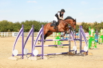 SBM_003904