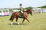 SBM_09197