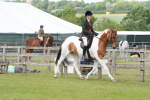 SBM_17637