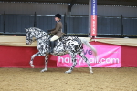 SBM_12488