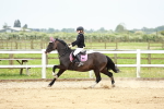 SBM_009429