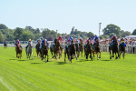 120725-Race 3-Fox Legacy-0206