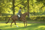 SBM_56396