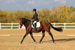 SBM_002793