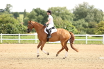 SBM_000332