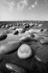 Westward Ho 1299 bw v3