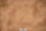 240526A-133626-08390