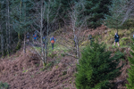 Glentress-276