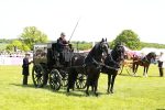 SBM_06656
