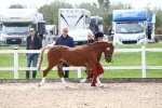 SBM_19038