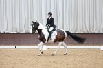 SBM_002992
