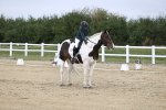 SBM_016803