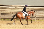 SBM_000243
