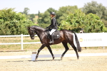 SBM_004028