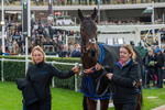 161125-Race 1-Ribba Hill-1230
