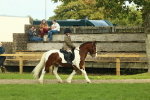 SBM_68186