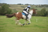 RAY_9091