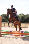 20260809-0859