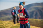 Sale Fell-526