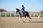 SBM_004382