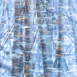 Blue Hour Reflections